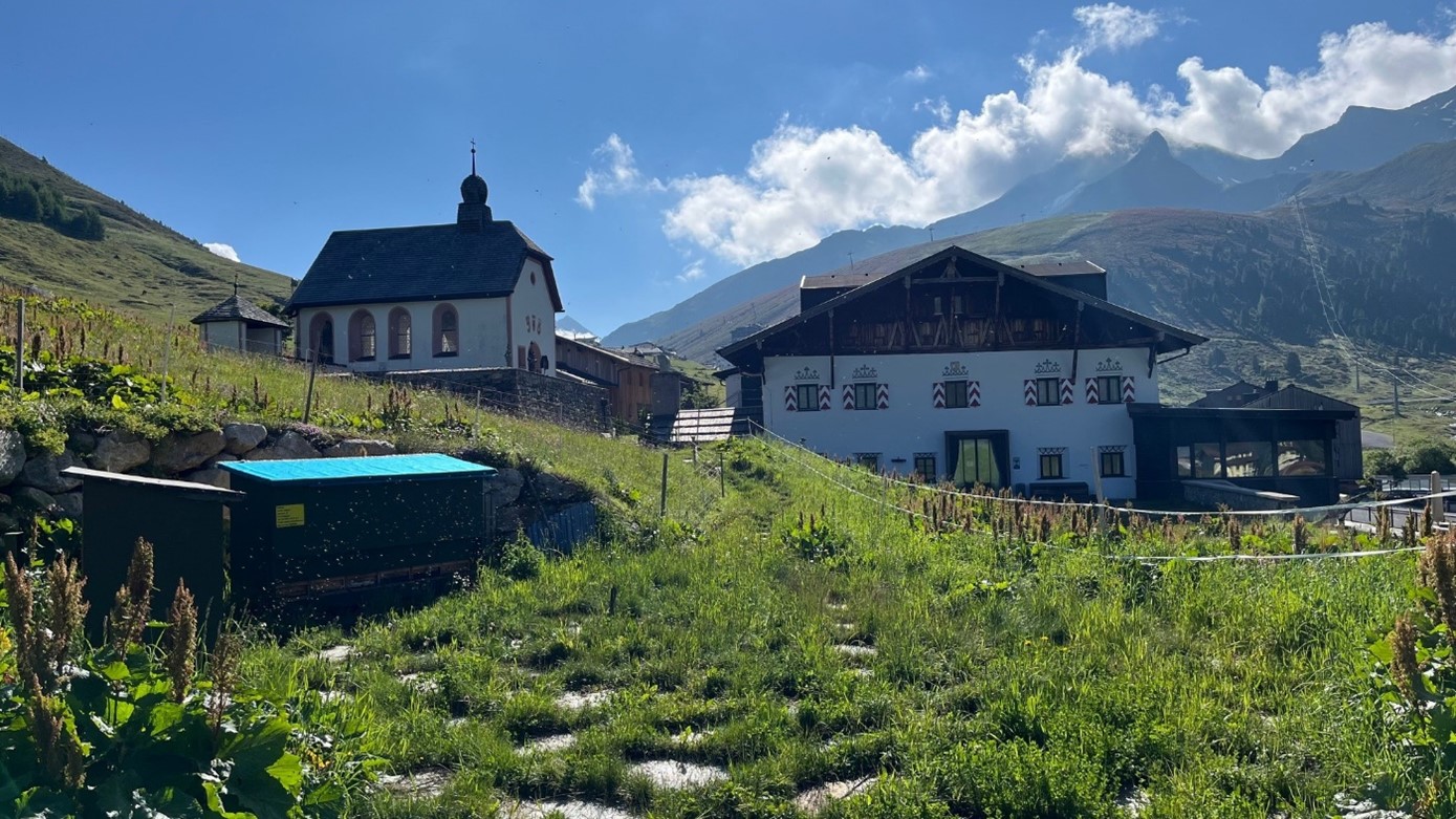 Bienenstöcke am Jagdschloss resort